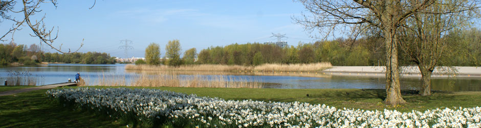 Platform Filmwijk Almere